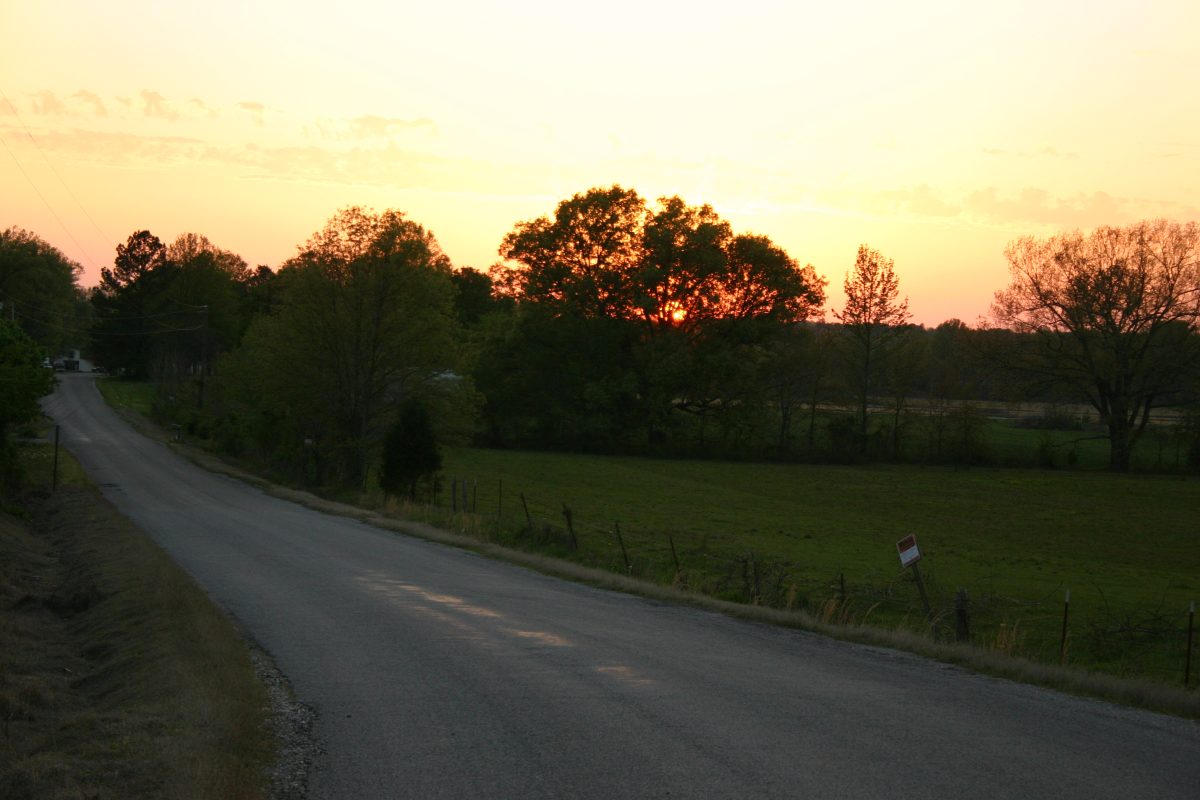 Welcome to Roots & Rhinestones